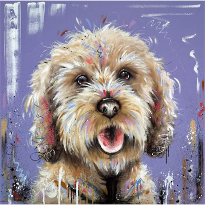 The Interested Party (Cockapoo)