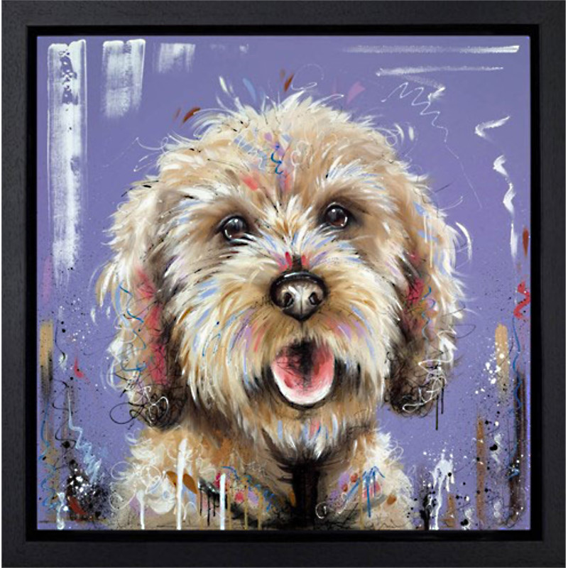 The Interested Party (Cockapoo) The Interested Party (Cockapoo)