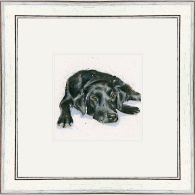 Jet (Black Lab)