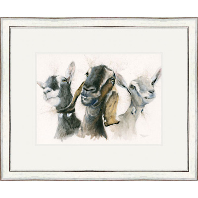 Just Kidding (Goats) - SML