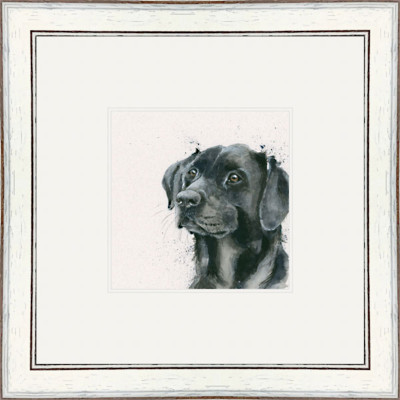 Lad (Black Lab) Lad (Black Lab)