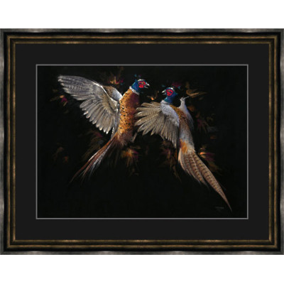 Let Feathers Fly