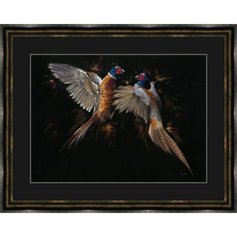 Let Feathers Fly Let Feathers Fly