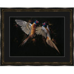 Let Feathers Fly (LGE)