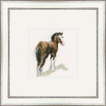 Little Big Man (Clydesdale) Little Big Man (Clydesdale)