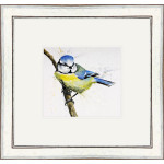 Little Blue (Blue Tit) Little Blue (Blue Tit)