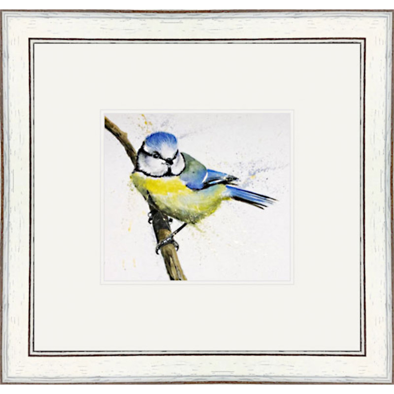 Little Blue (Blue Tit) Little Blue (Blue Tit)