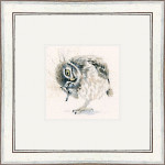 Little Scratch (Owl)