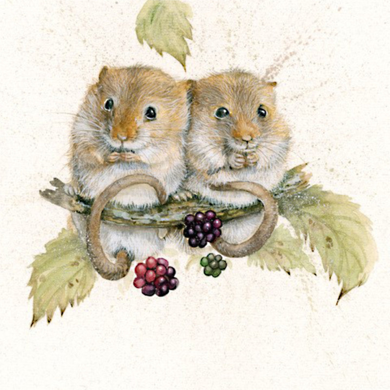 Berry Merry (Dormice) Berry Merry (Dormice)