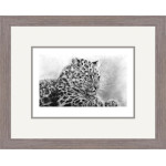 Mist of Amur (Amur Leopard)