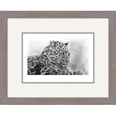 Mist of Amur (Amur Leopard)