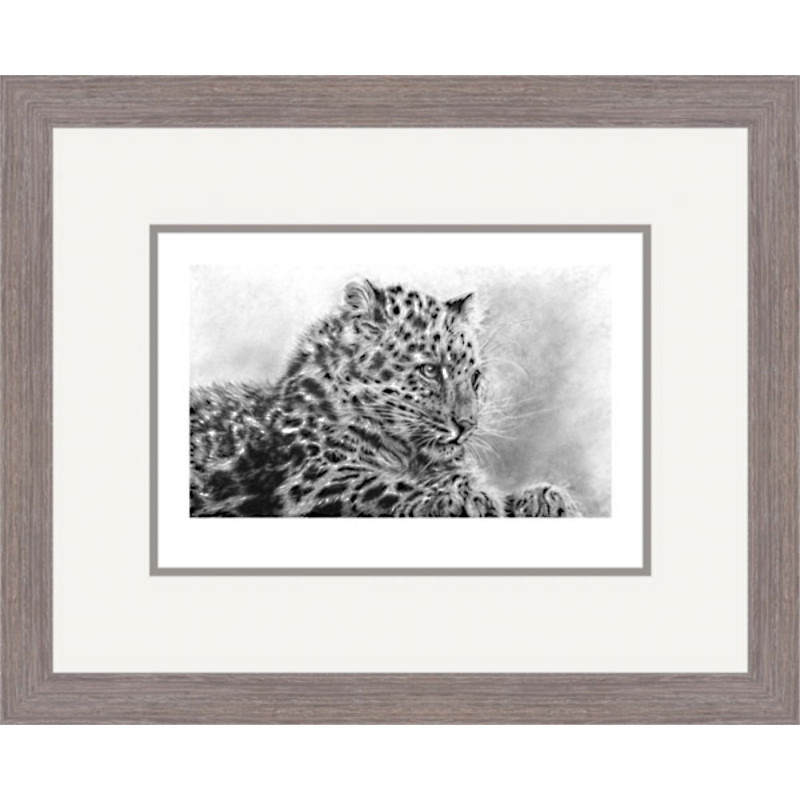 Mist of Amur (Amur Leopard)