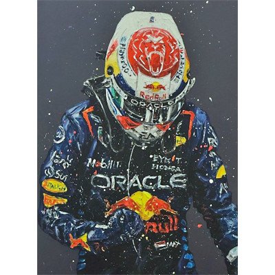 Max Verstappen - 2024 World Champion