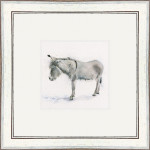 Ned (Donkey) Ned (Donkey)