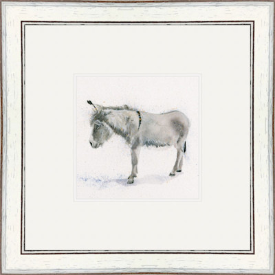Ned (Donkey) Ned (Donkey)