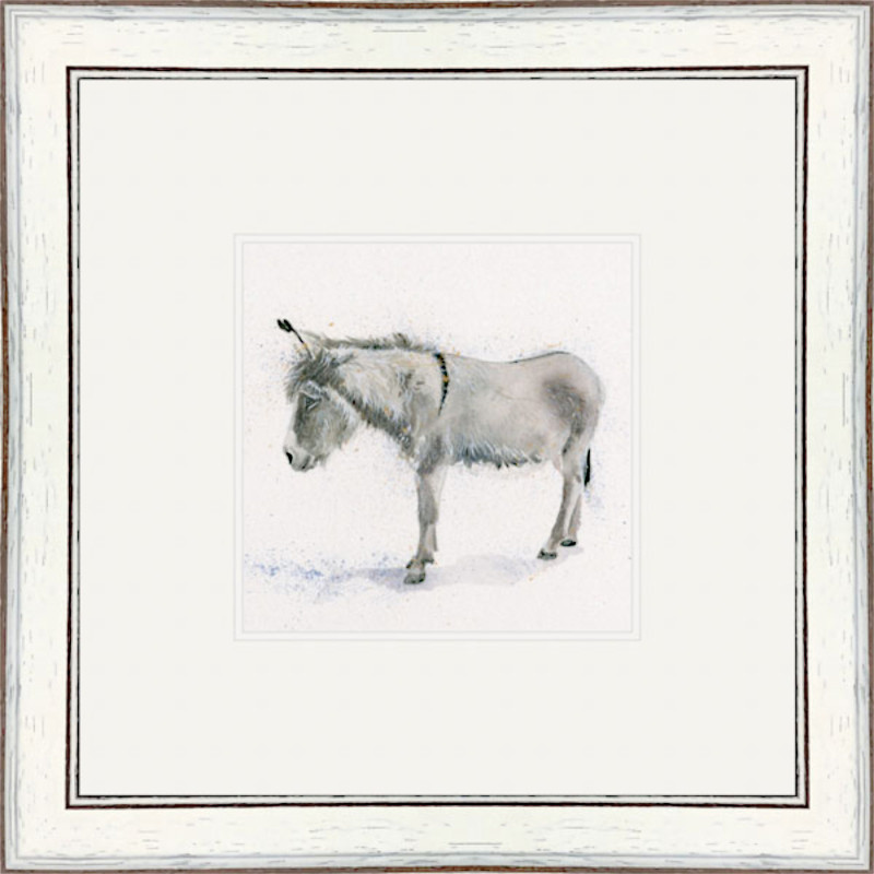 Ned (Donkey) Ned (Donkey)