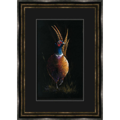 Cock of the Walk (Pheasant) Cock of the Walk (Pheasant)