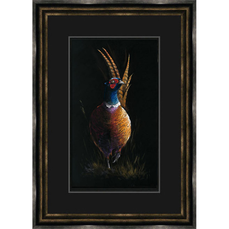 Cock of the Walk (Pheasant) Cock of the Walk (Pheasant)