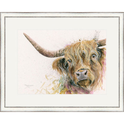 Nosey Coo - LGE Nosey Coo - LGE