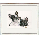 Nouvelle Cuisine (French Bulldog's) Nouvelle Cuisine (French Bulldog's)