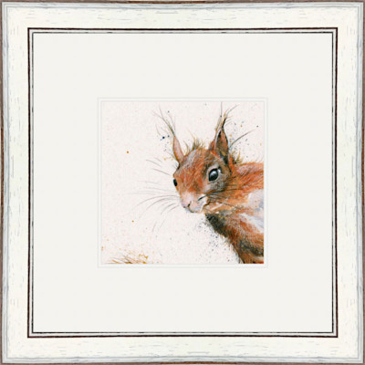 The Nutter (Red Squirrel) The Nutter (Red Squirrel)