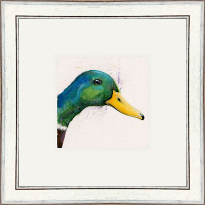 Peeking Duck (Mallard) Peeking Duck (Mallard)