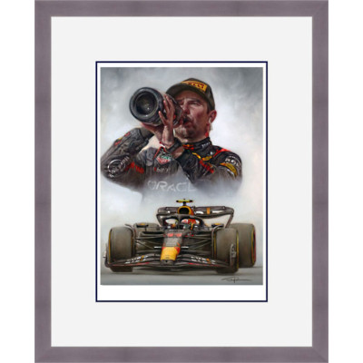 Sergio Perez - Red Bull 11
