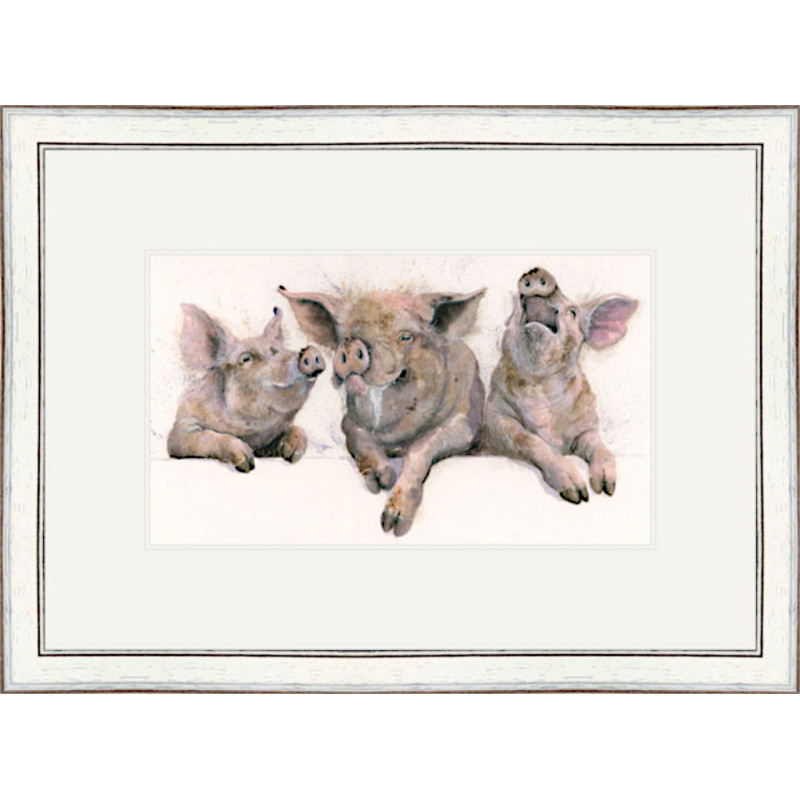 Porky Pies (Pigs) Porky Pies (Pigs)