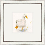 Puddle Duck Puddle Duck