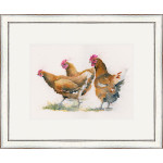Red Heads (Chickens) SML