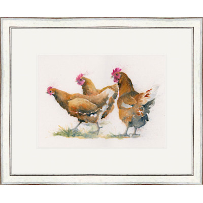 Red Heads (Chickens) SML
