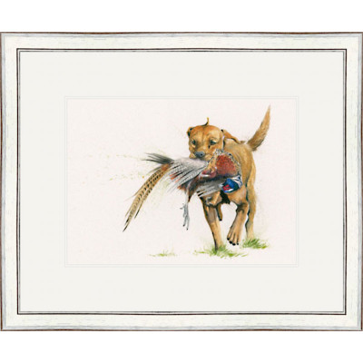 Return To Sender (Fox Red Labrador)