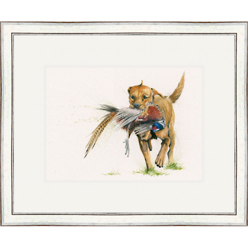 Return To Sender (Fox Red Labrador) Return To Sender (Fox Red Labrador)