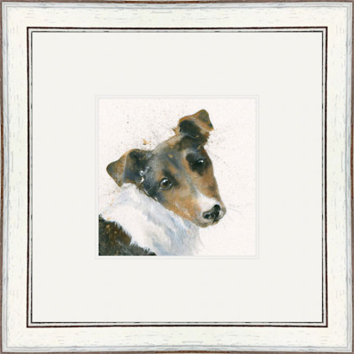 Russell (Jack Russell) Russell (Jack Russell)