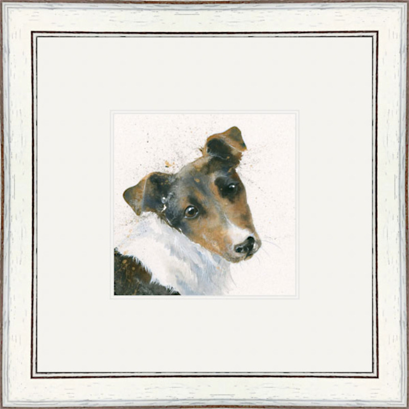 Russell (Jack Russell) Russell (Jack Russell)