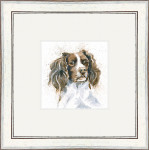 Sam (Springer)