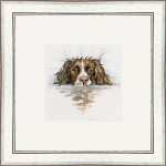 Scooby (Springer) Scooby (Springer)