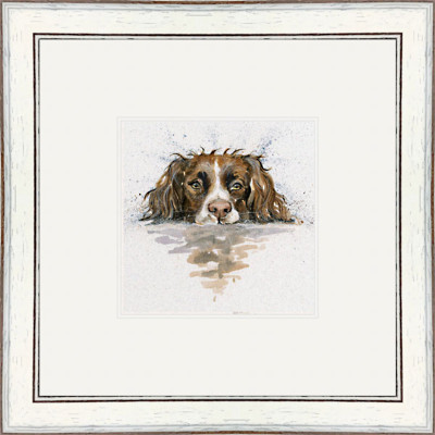 Scooby (Springer) Scooby (Springer)