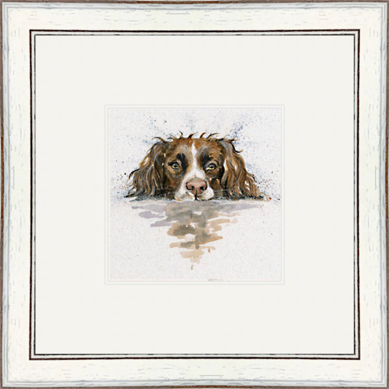 Scooby (Springer) Scooby (Springer)