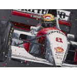 Senna McLaren (Canvas) Senna McLaren (Canvas)