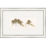 Social Distancing (Dormice) Social Distancing (Dormice)