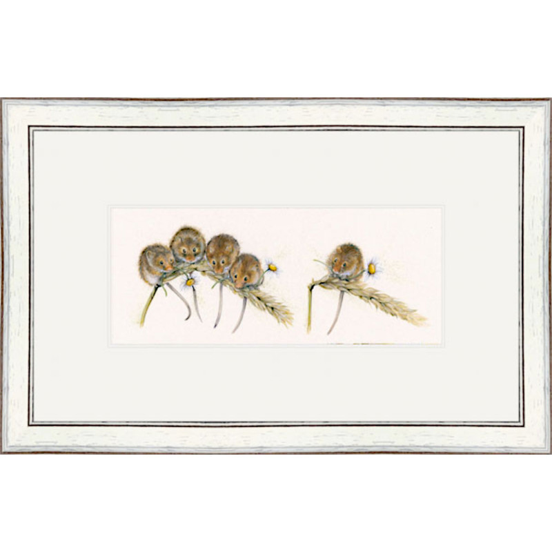 Social Distancing (Dormice) Social Distancing (Dormice)