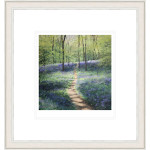 Spring Shadows Spring Shadows