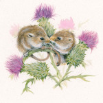 Thistle (Dormouse)