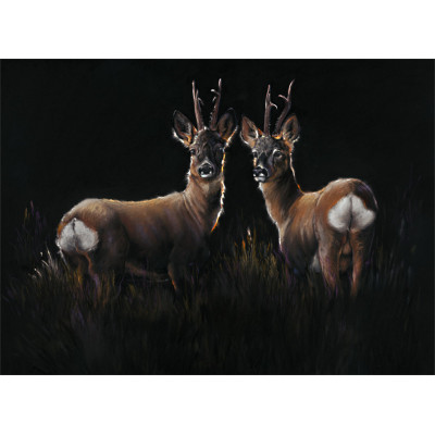 Two In A Row - Roe Deer