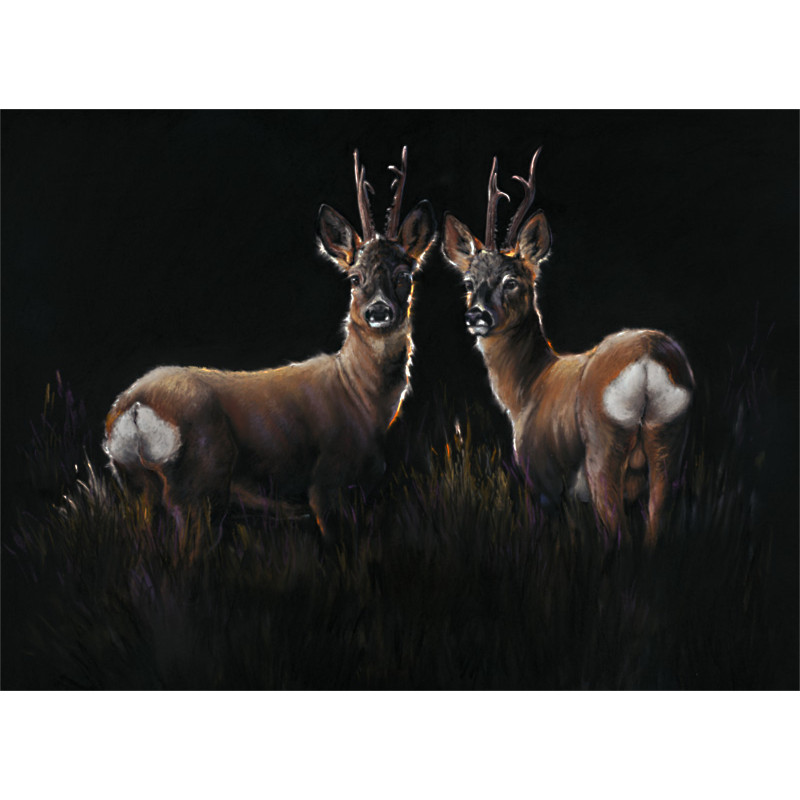 Two In A Row - Roe Deer Two In A Row - Roe Deer