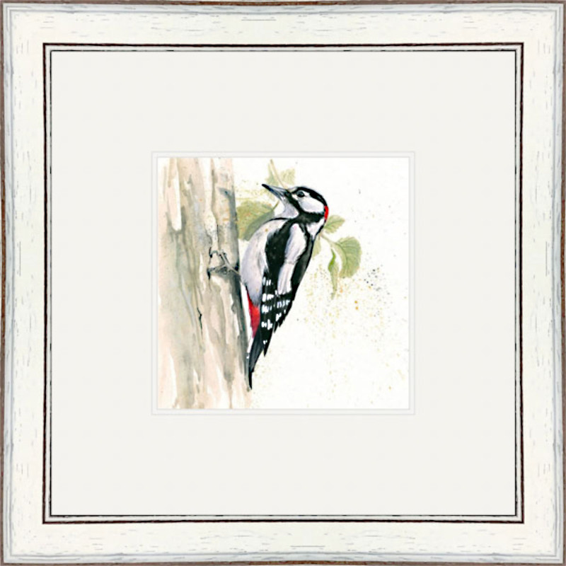 Who's There ? (Greater Spotted Woodpecker) Who's There ? (Greater Spotted Woodpecker)
