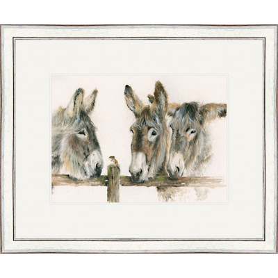 Why The Long Face (Donkeys) - SML Why The Long Face (Donkeys) - SML